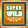Wheel of Fortune super wild symbol